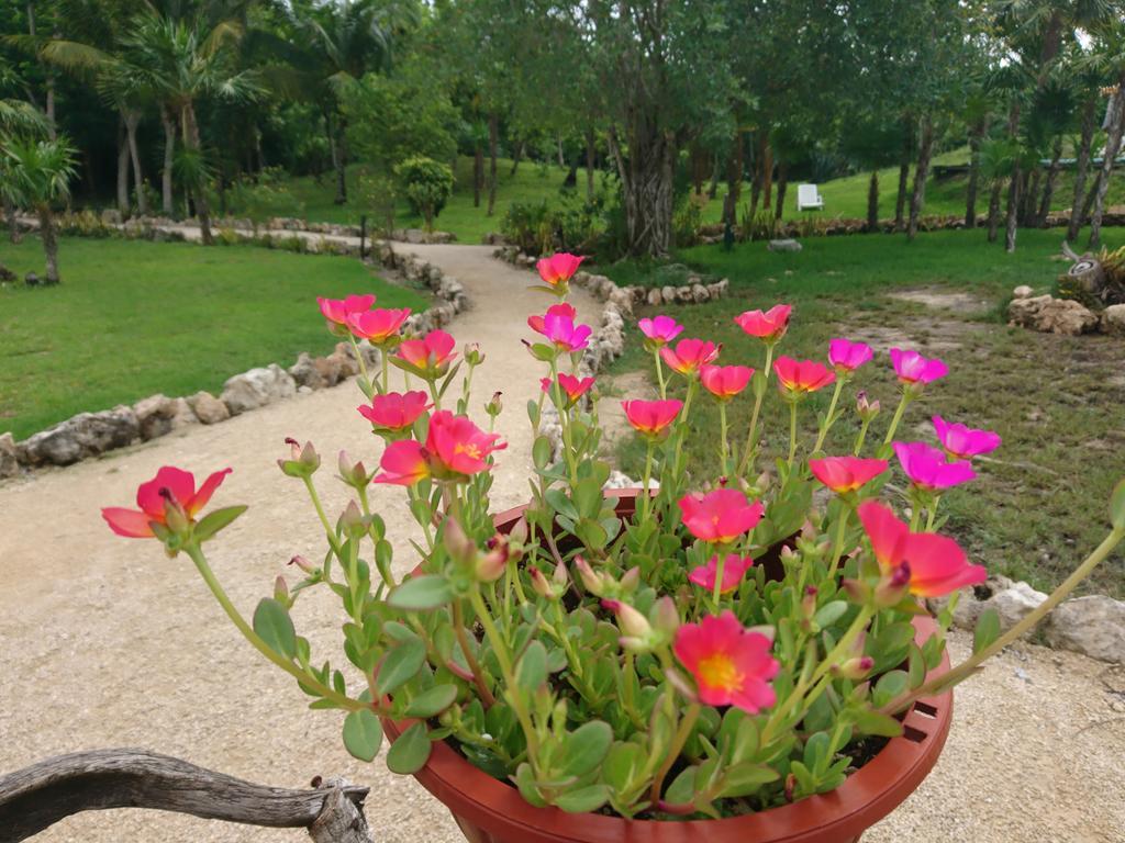 Raudales Hotel El Chital מראה חיצוני תמונה