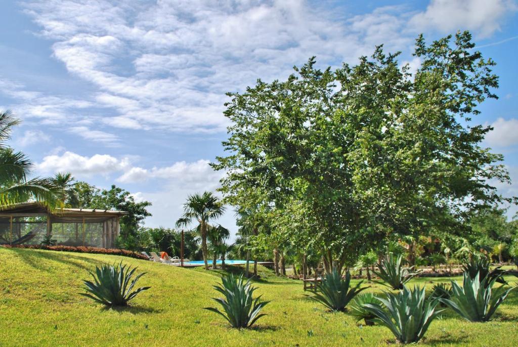 Raudales Hotel El Chital מראה חיצוני תמונה